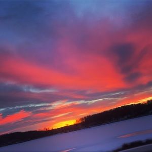 Meet your Posher, Skye